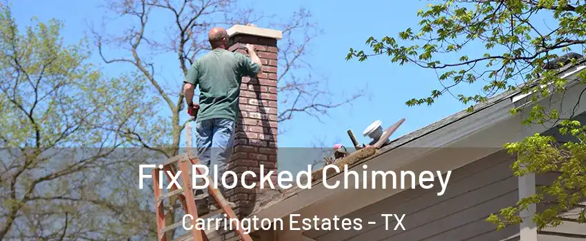 Fix Blocked Chimney Carrington Estates - TX