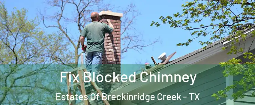 Fix Blocked Chimney Estates Of Breckinridge Creek - TX