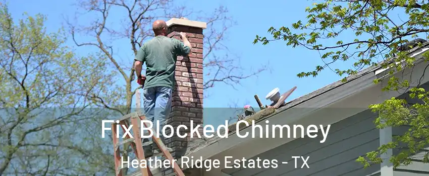 Fix Blocked Chimney Heather Ridge Estates - TX