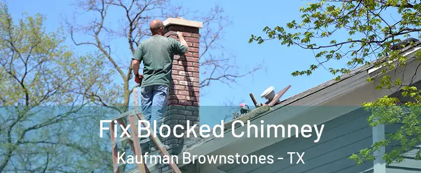 Fix Blocked Chimney Kaufman Brownstones - TX