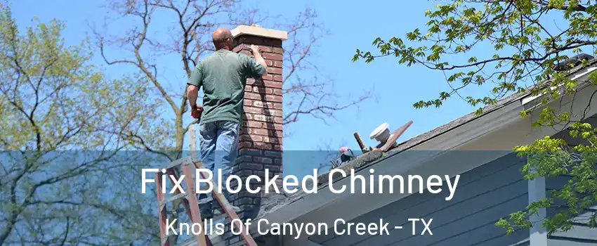 Fix Blocked Chimney Knolls Of Canyon Creek - TX