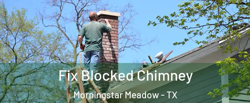 Fix Blocked Chimney Morningstar Meadow - TX