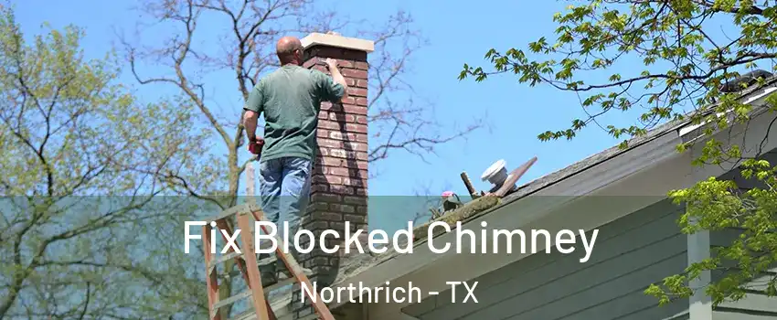 Fix Blocked Chimney Northrich - TX