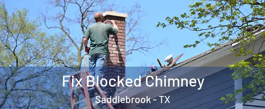 Fix Blocked Chimney Saddlebrook - TX