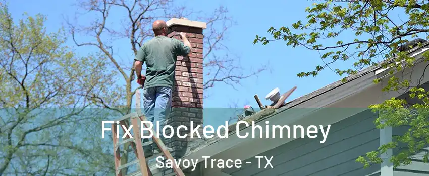 Fix Blocked Chimney Savoy Trace - TX