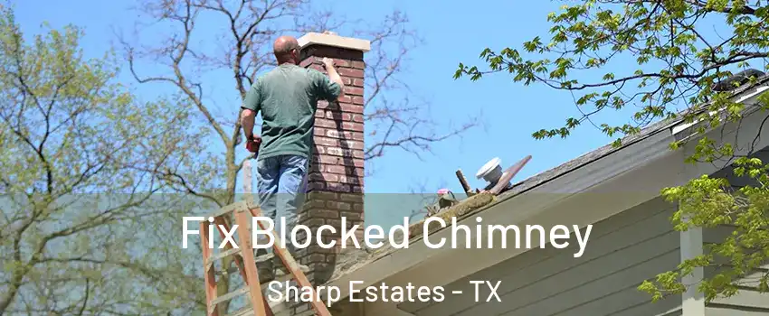 Fix Blocked Chimney Sharp Estates - TX