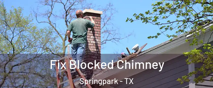 Fix Blocked Chimney Springpark - TX