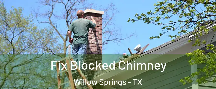 Fix Blocked Chimney Willow Springs - TX