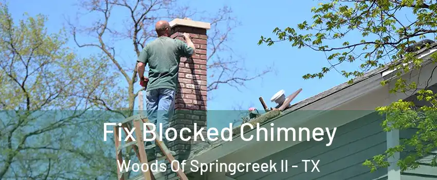 Fix Blocked Chimney Woods Of Springcreek II - TX