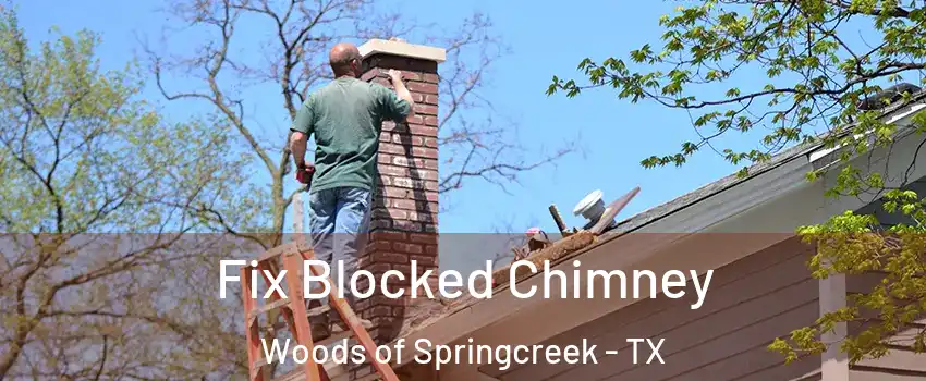 Fix Blocked Chimney Woods of Springcreek - TX