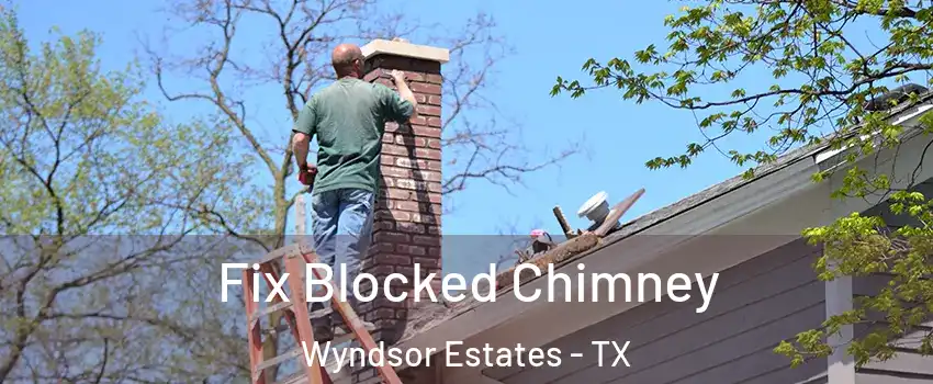 Fix Blocked Chimney Wyndsor Estates - TX