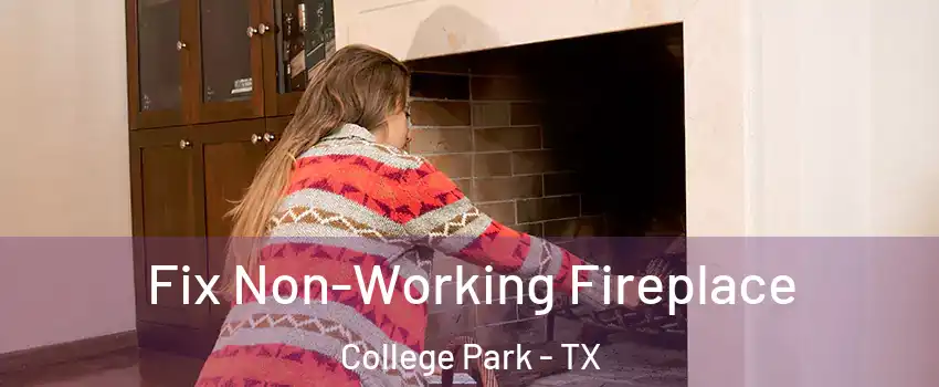 Fix Non-Working Fireplace College Park - TX