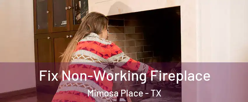 Fix Non-Working Fireplace Mimosa Place - TX
