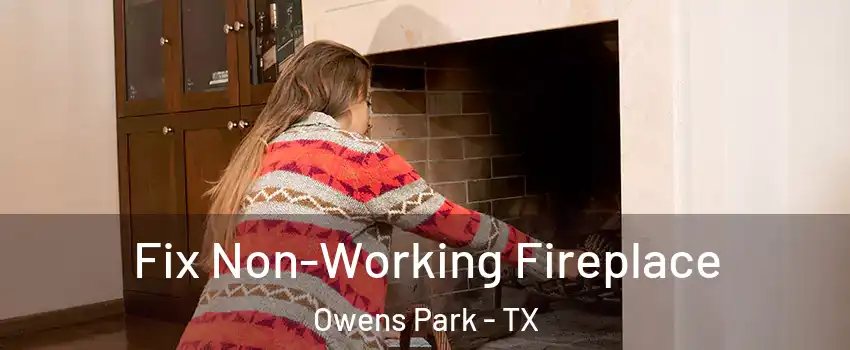 Fix Non-Working Fireplace Owens Park - TX