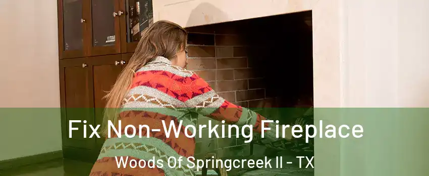 Fix Non-Working Fireplace Woods Of Springcreek II - TX