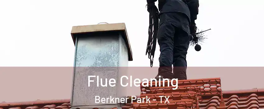 Flue Cleaning Berkner Park - TX