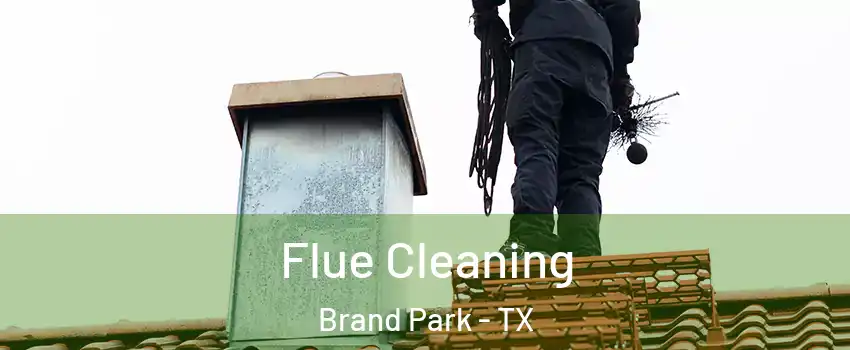 Flue Cleaning Brand Park - TX