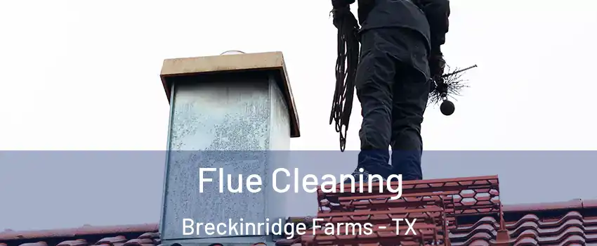 Flue Cleaning Breckinridge Farms - TX