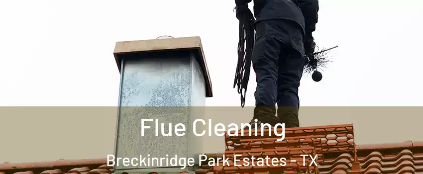 Flue Cleaning Breckinridge Park Estates - TX