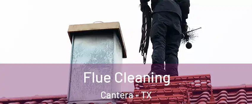 Flue Cleaning Cantera - TX