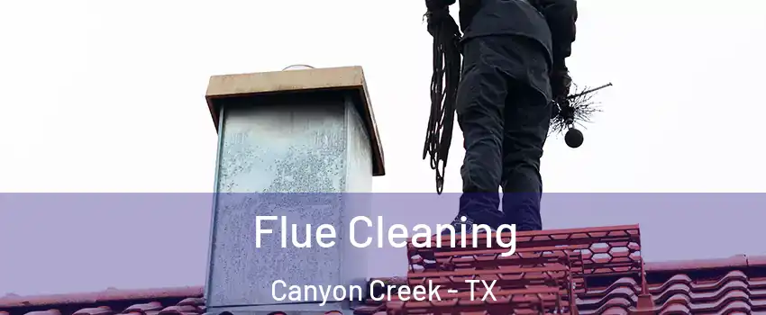 Flue Cleaning Canyon Creek - TX