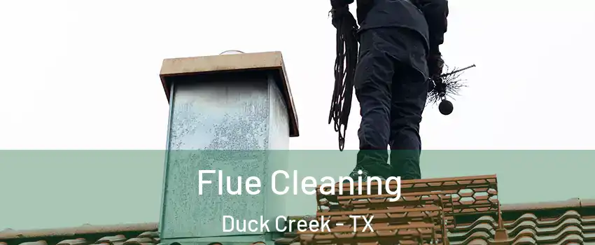 Flue Cleaning Duck Creek - TX