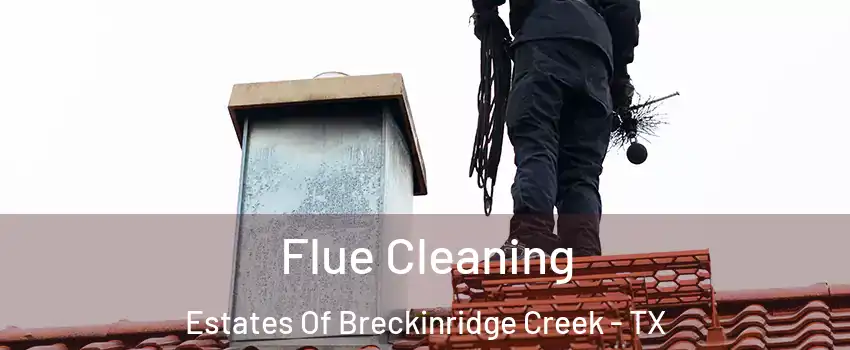 Flue Cleaning Estates Of Breckinridge Creek - TX