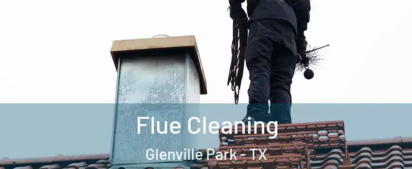 Flue Cleaning Glenville Park - TX