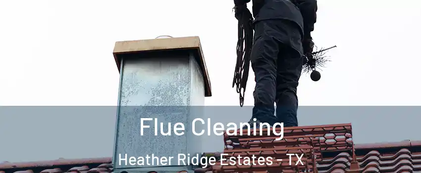 Flue Cleaning Heather Ridge Estates - TX