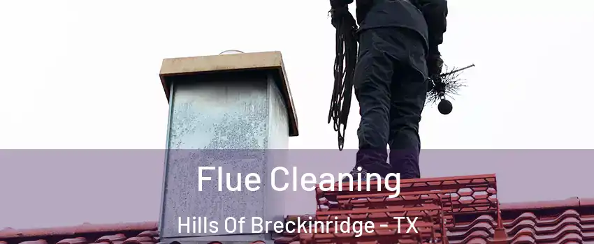 Flue Cleaning Hills Of Breckinridge - TX