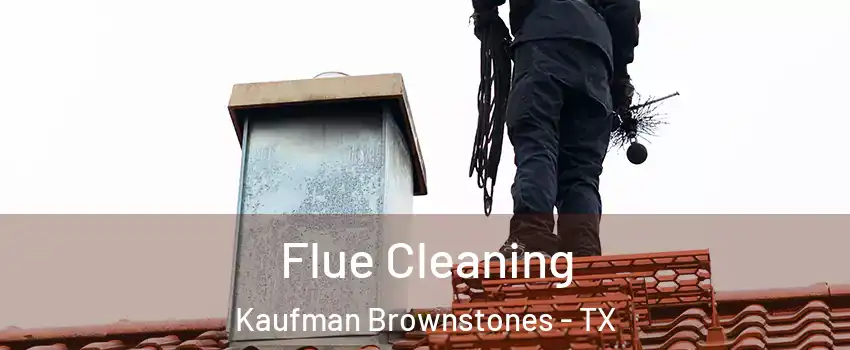 Flue Cleaning Kaufman Brownstones - TX