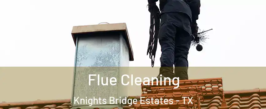 Flue Cleaning Knights Bridge Estates - TX