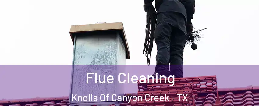 Flue Cleaning Knolls Of Canyon Creek - TX