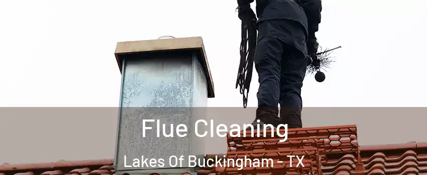 Flue Cleaning Lakes Of Buckingham - TX