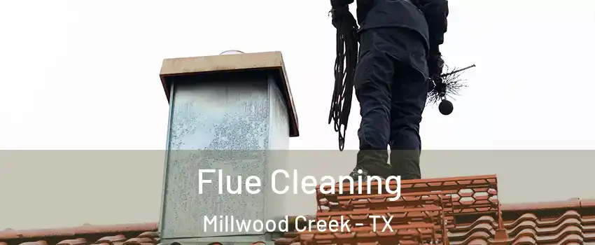 Flue Cleaning Millwood Creek - TX