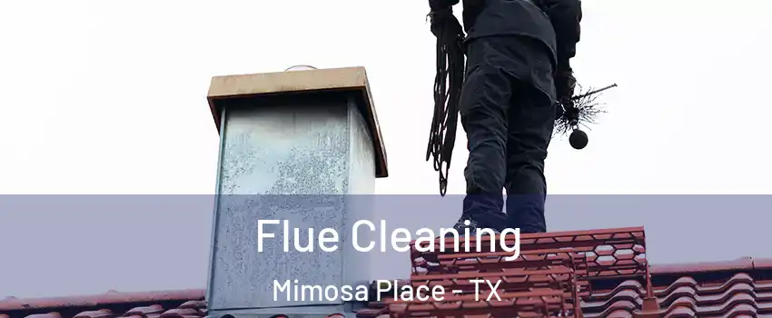 Flue Cleaning Mimosa Place - TX