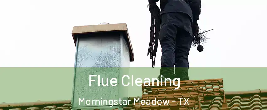 Flue Cleaning Morningstar Meadow - TX