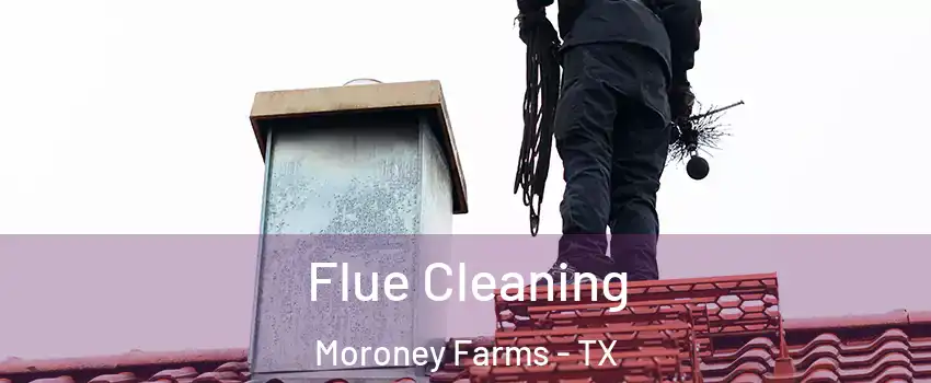 Flue Cleaning Moroney Farms - TX