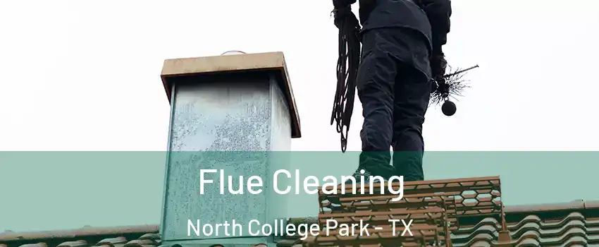 Flue Cleaning North College Park - TX