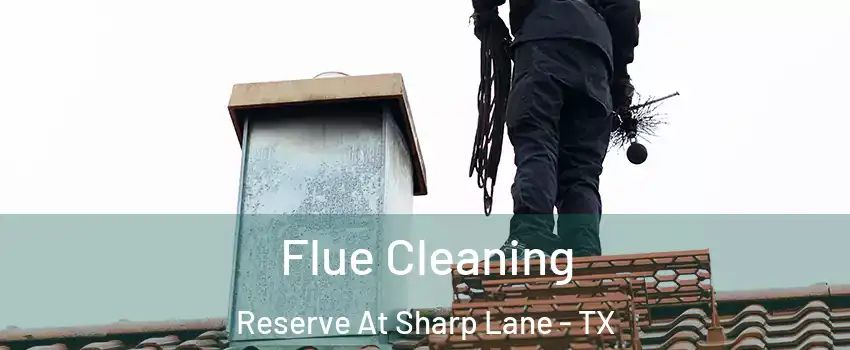 Flue Cleaning Reserve At Sharp Lane - TX