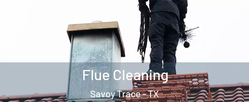 Flue Cleaning Savoy Trace - TX