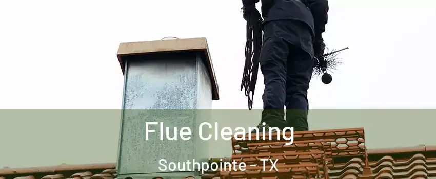 Flue Cleaning Southpointe - TX