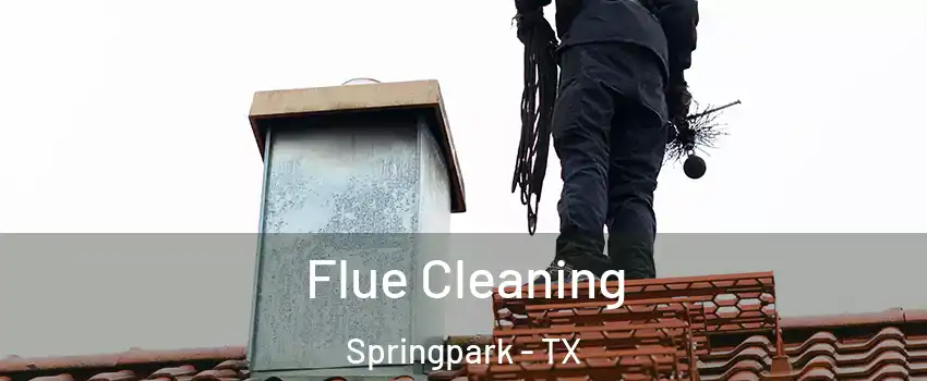 Flue Cleaning Springpark - TX