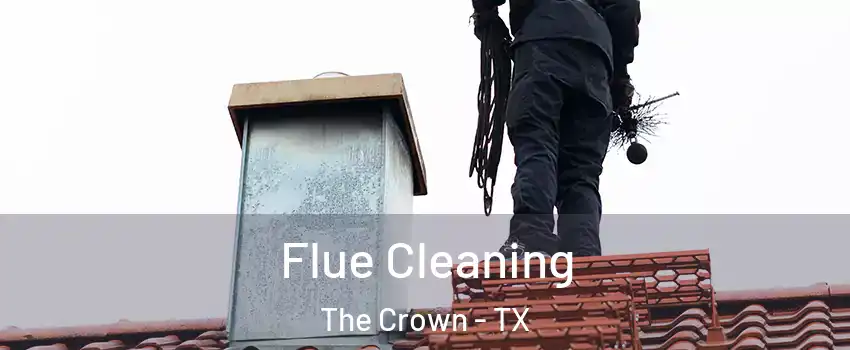Flue Cleaning The Crown - TX