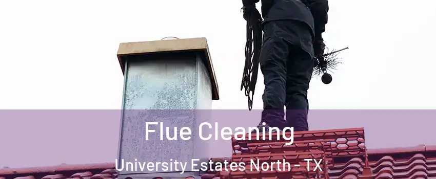Flue Cleaning University Estates North - TX