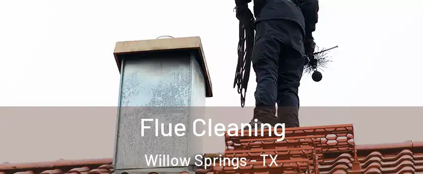 Flue Cleaning Willow Springs - TX
