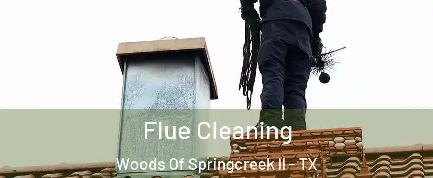 Flue Cleaning Woods Of Springcreek II - TX