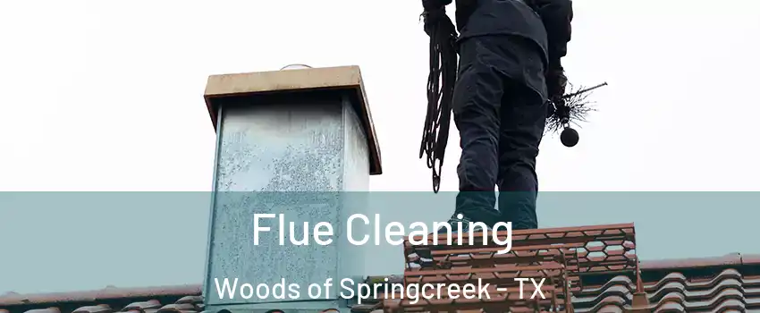 Flue Cleaning Woods of Springcreek - TX