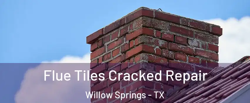 Flue Tiles Cracked Repair Willow Springs - TX