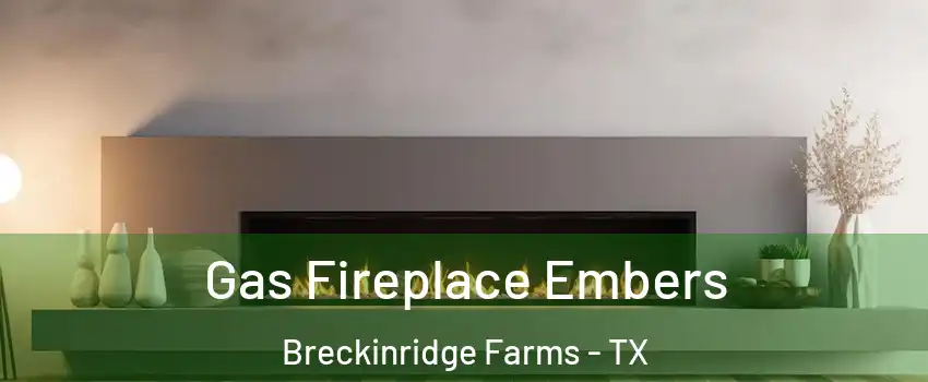 Gas Fireplace Embers Breckinridge Farms - TX